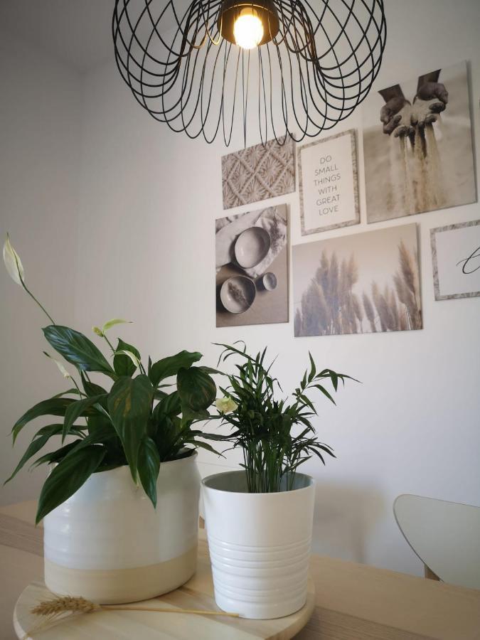 Apartamento Suite Arco De La Villa,Solo Familia Y Parejas,Parking Gratuito Conil De La Frontera Eksteriør billede